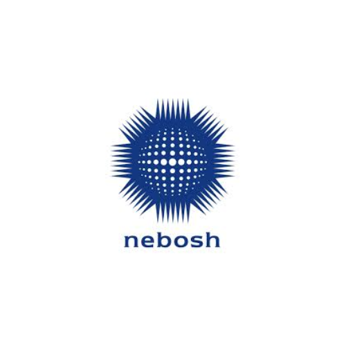 National Examination Board in Occupational Safety and Health (NEBOSH) National Examination Board in Occupational Safety and Health (NEBOSH)